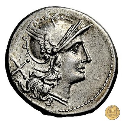 136/1 - denario Aurelius 194-190 BC (Roma)