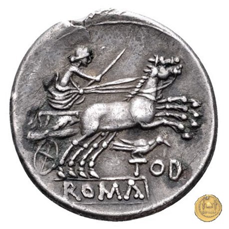 141/1 - Roma / Luna - uccellino e TOD (bird e TOD) 189-180 BC (Roma)