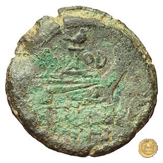 141/2b - asse 189-180 a.C. (Roma)