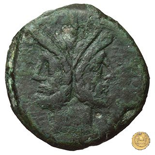 148/1 - asse Q. Marius 189-180 a.C. (Roma)