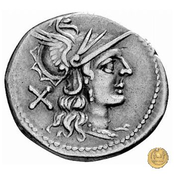 152/1 - denario Sex. Quinctilius 189-180 BC (Roma)