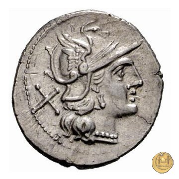 152/1 - denario Sex. Quinctilius 189-180 BC (Roma)