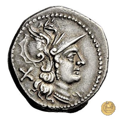 152/1 - denario Sex. Quinctilius 189-180 BC (Roma)