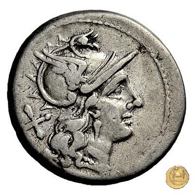 155/1 - denario Furius Purpureo 179-170 BC (Roma)