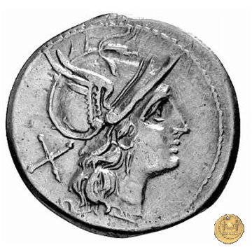 155/1 - denario Furius Purpureo 179-170 BC (Roma)