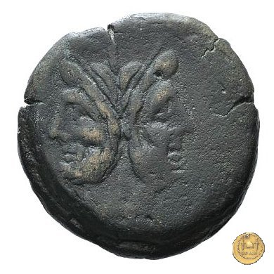 155/2 - asse Furius Purpureo 179-170 BC (Roma)