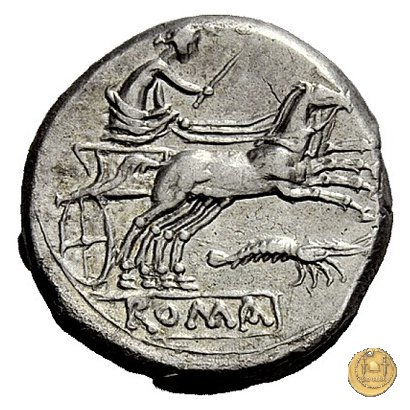 156/1 - Roma / Luna - gambero (prawn) 179-170 BC (Roma)