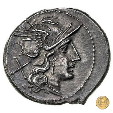 161/1 - denario P. Iuventius Thalna 179-170 a.C. (Roma)