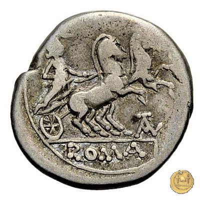 161/1 - denario P. Iuventius Thalna 179-170 BC (Roma)