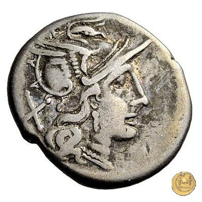 161/1 - denario P. Iuventius Thalna 179-170 BC (Roma)