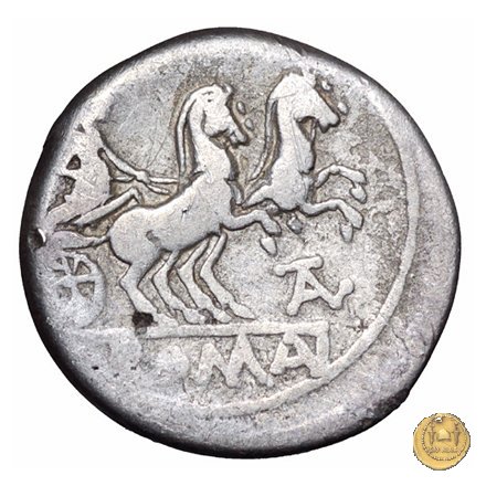 161/1 - denario P. Iuventius Thalna 179-170 BC (Roma)