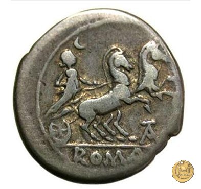 161/1 - denario P. Iuventius Thalna 179-170 BC (Roma)