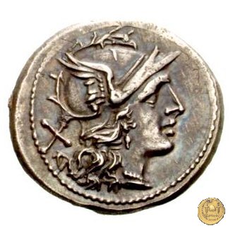 162/2 - denario Matienus 179-170 BC (Roma)