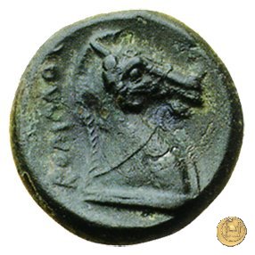 17/1 260 BC (Roma)