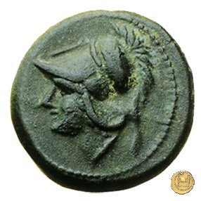 17/1 260 BC (Roma)