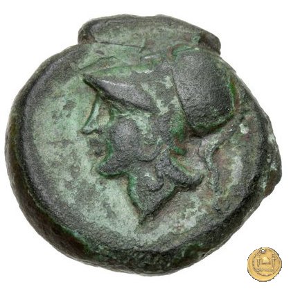 17/1 260 BC (Roma)