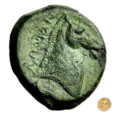 17/1 260 a.C. (Roma)