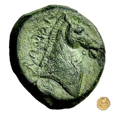 17/1 260 BC (Roma)