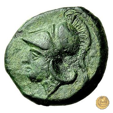 17/1 260 BC (Roma)