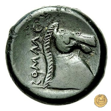 17/1 260 BC (Roma)