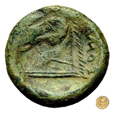 17/1 260 BC (Roma)