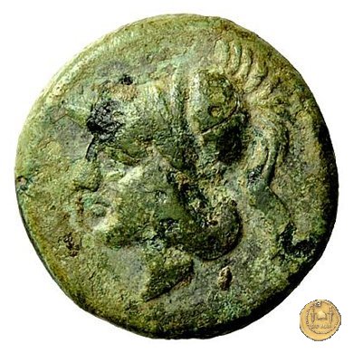 17/1 260 BC (Roma)