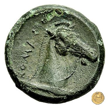 17/1 260 BC (Roma)