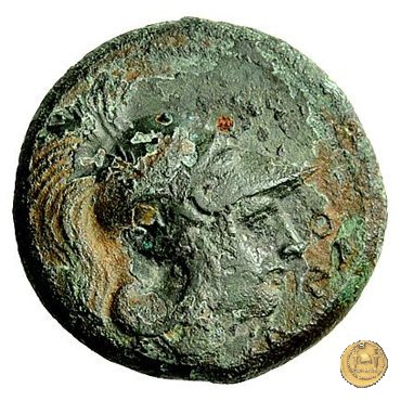 17/1 260 a.C. (Roma)