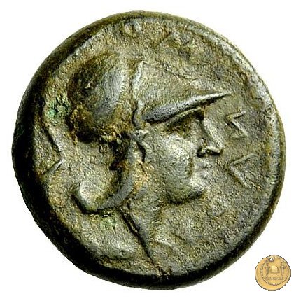 17/1 260 BC (Roma)