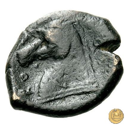 17/1 260 BC (Roma)