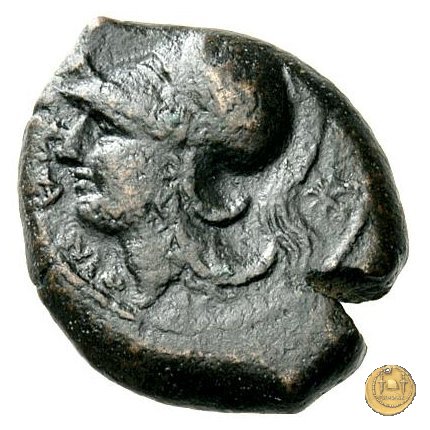 17/1 260 BC (Roma)