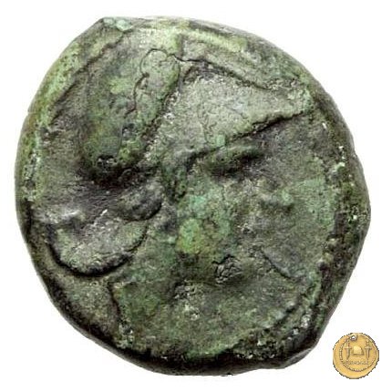 17/1 260 BC (Roma)