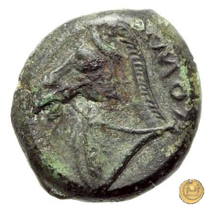 17/1 260 BC (Roma)