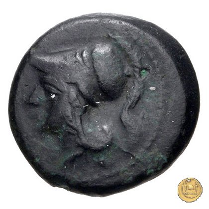 17/1 260 BC (Roma)