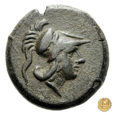 17/1 260 BC (Roma)