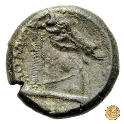 17/1 260 BC (Roma)