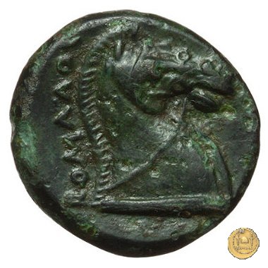 17/1 260 BC (Roma)