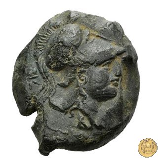 17/1 260 BC (Roma)