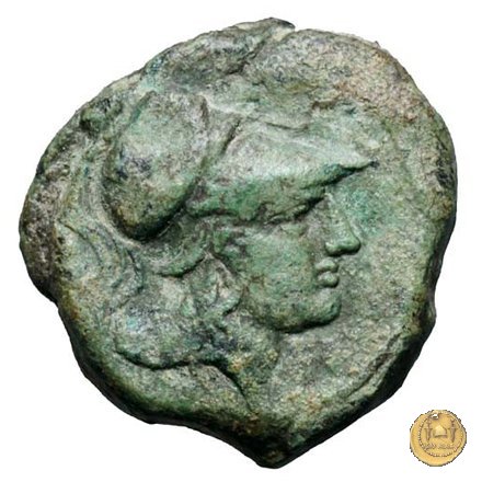 17/1 260 BC (Roma)