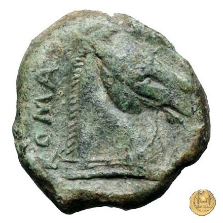 17/1 260 BC (Roma)