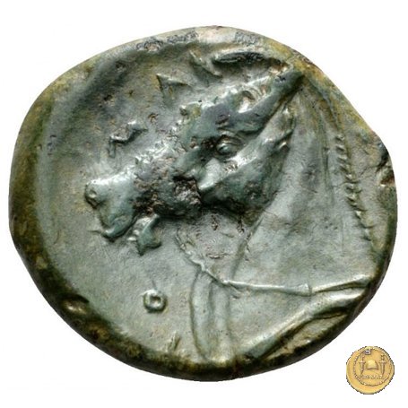 17/1 260 BC (Roma)