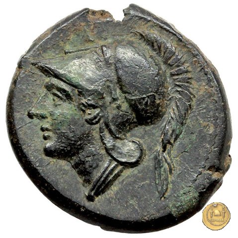 17/1 260 BC (Roma)