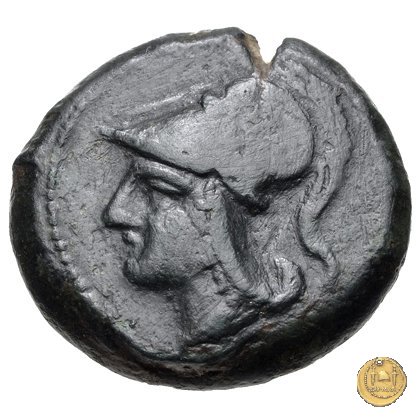 17/1 260 BC (Roma)