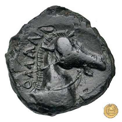 17/1 260 BC (Roma)