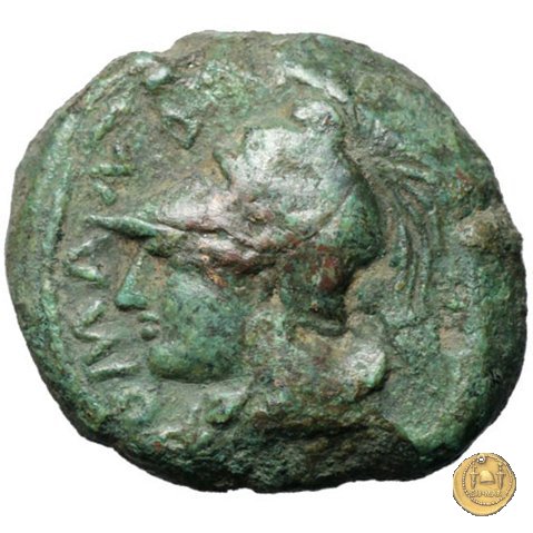 17/1 260 BC (Roma)