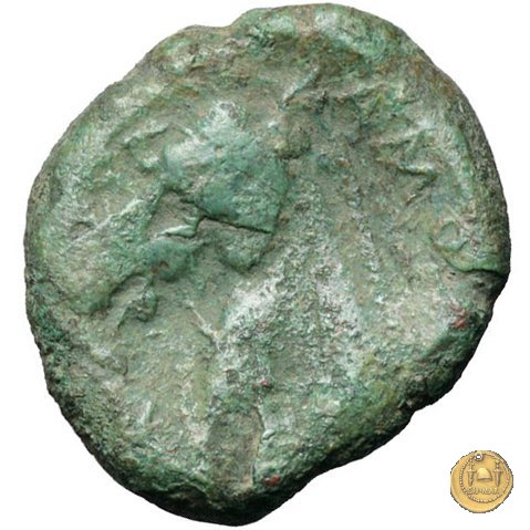 17/1 260 BC (Roma)