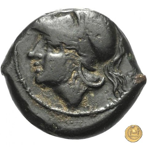 17/1 260 BC (Roma)