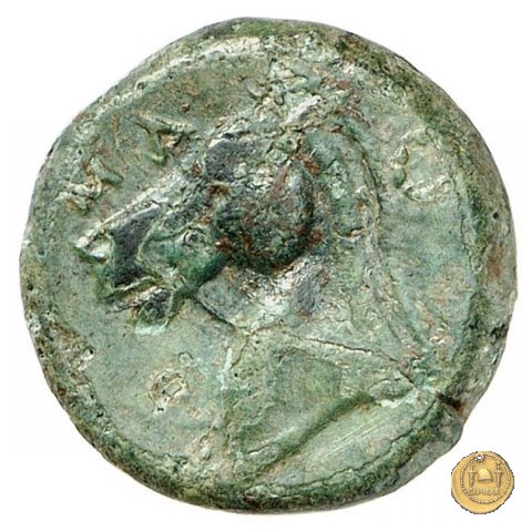 17/1 260 BC (Roma)