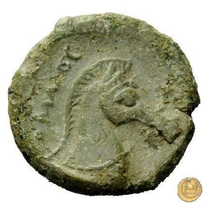 17/1 260 BC (Roma)