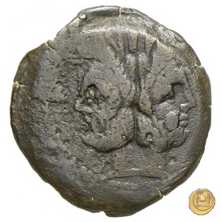 180/1 - asse (Cluvius) Saxula 169-158 BC (Roma)